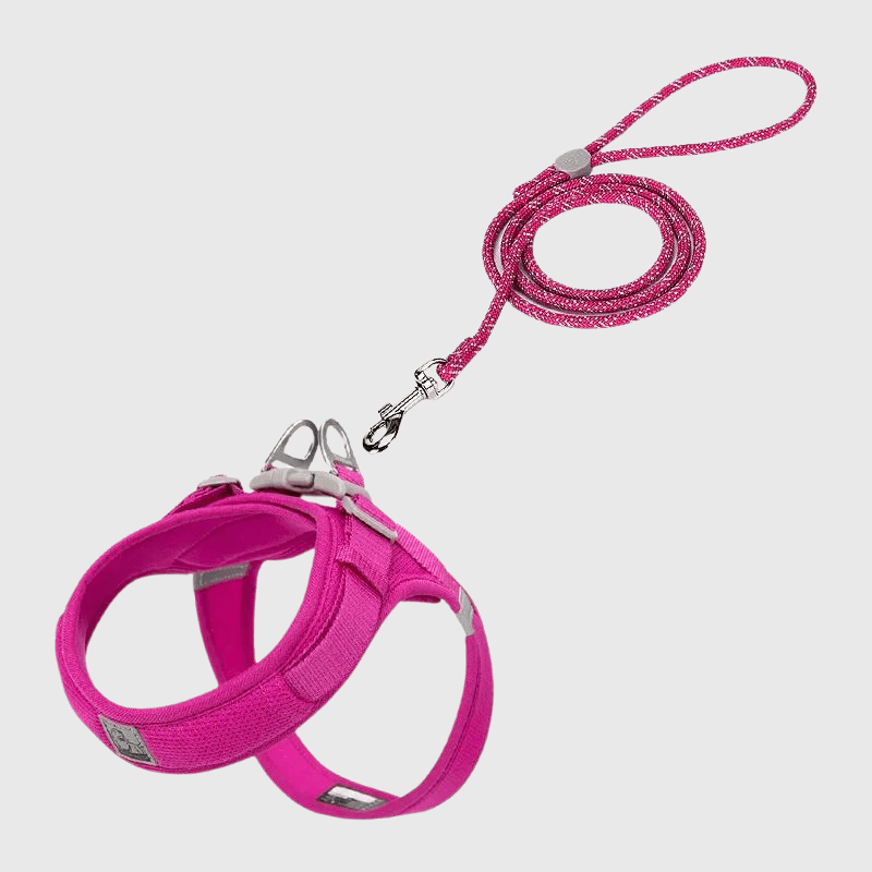 Harnais chien en t rose