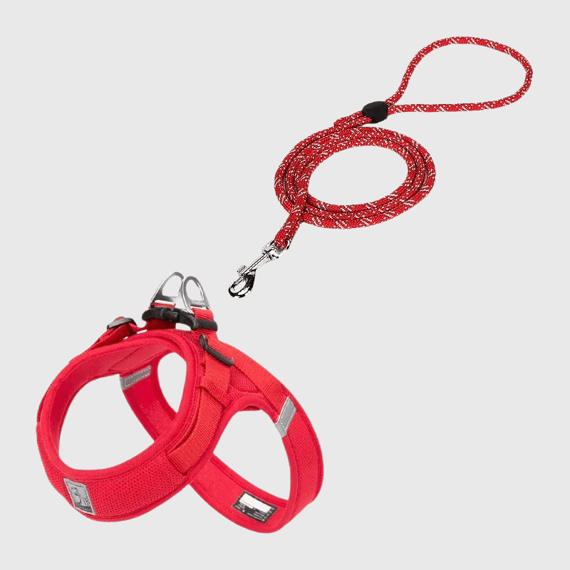Harnais chien en t rouge