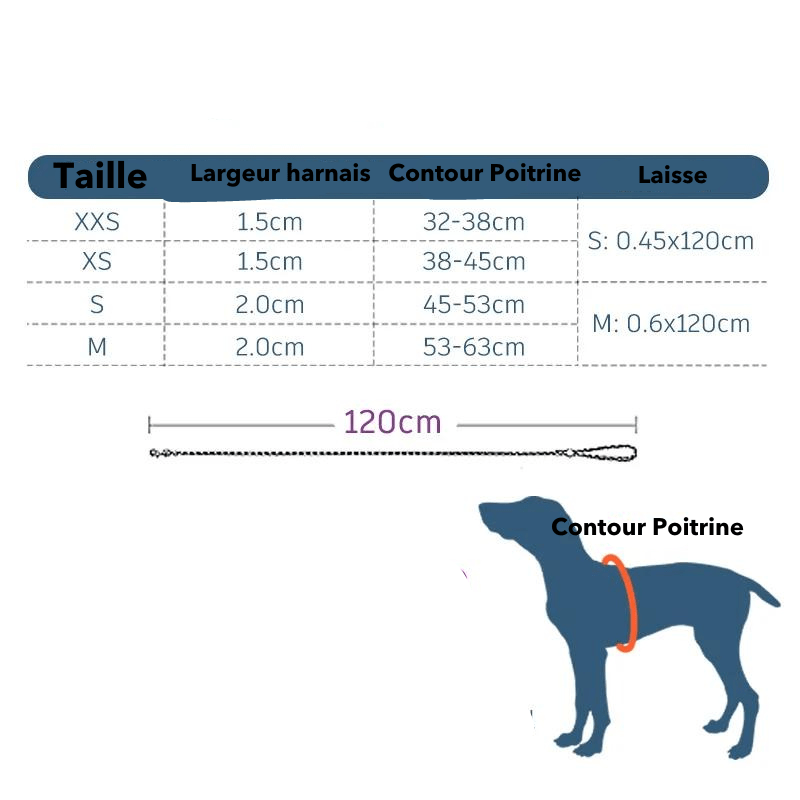 Harnais chien en t taille