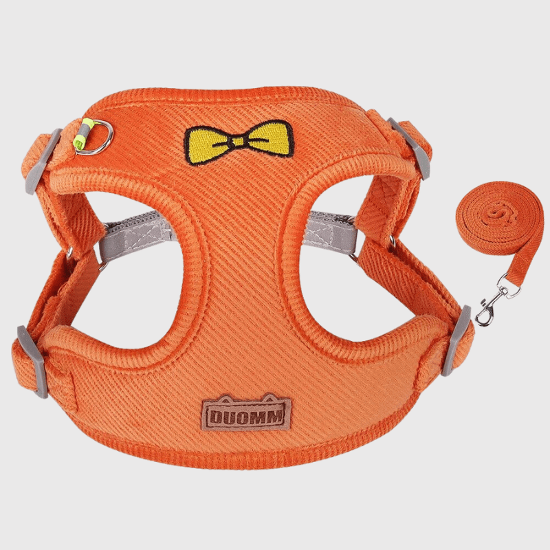 Harnais chien randonnee orange