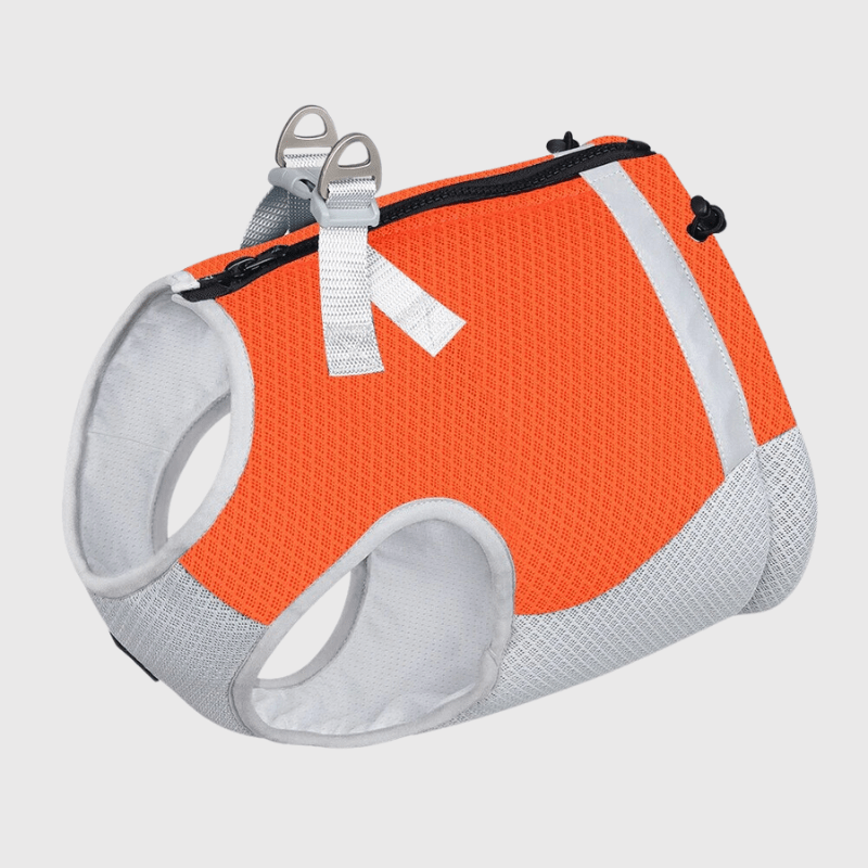 Harnais rafraichissant pour chien orange