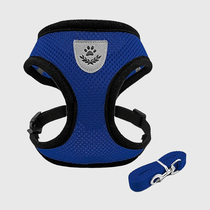 Harnais souple pour chien bleu