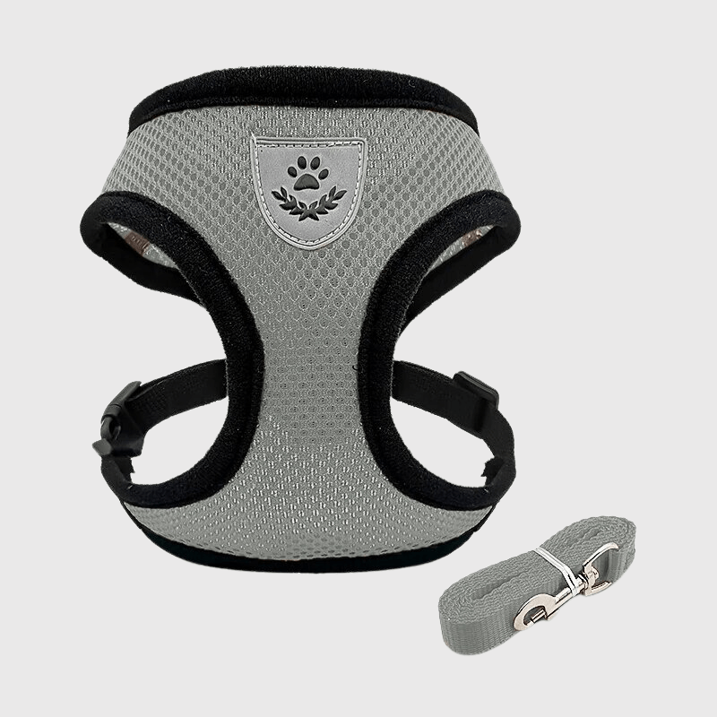 Harnais souple pour chien gris