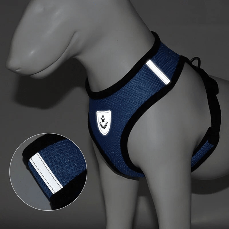 Harnais souple pour chien nuit