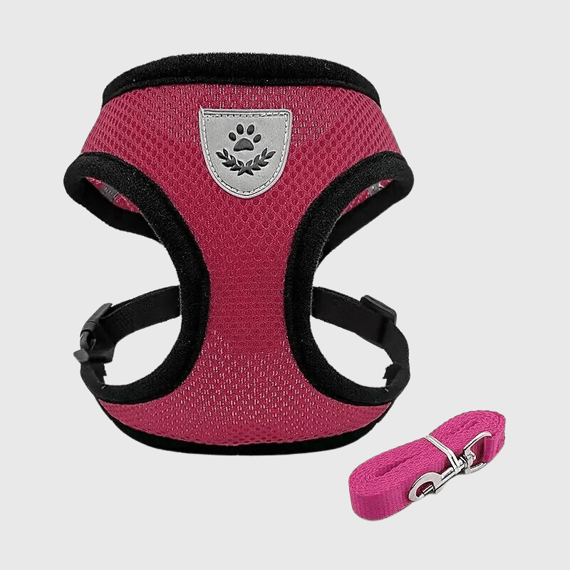 Harnais souple pour chien rose rouge
