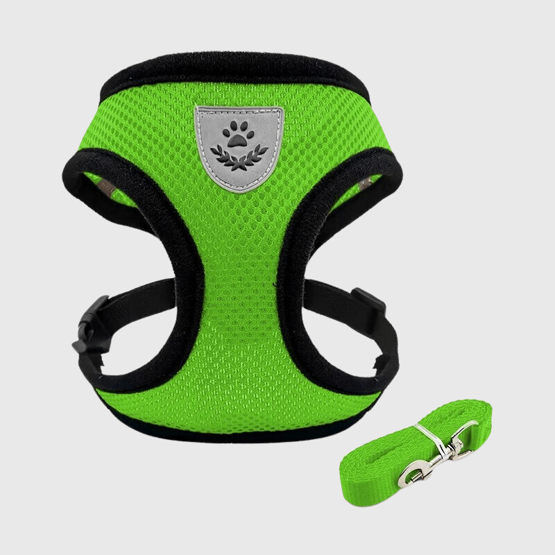 Harnais souple pour chien vert