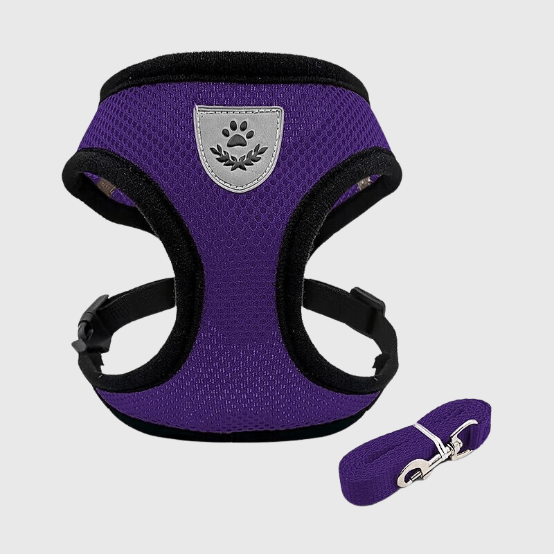 Harnais souple pour chien violet