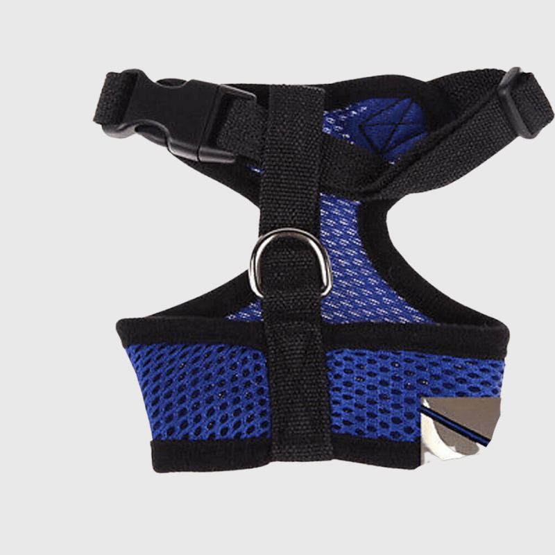 Harnais sport chien bleu foncee