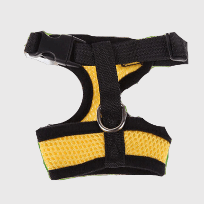 Harnais sport chien jaune