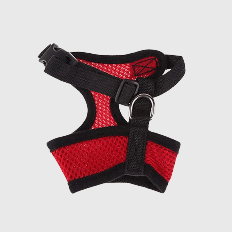 Harnais sport chien rouge
