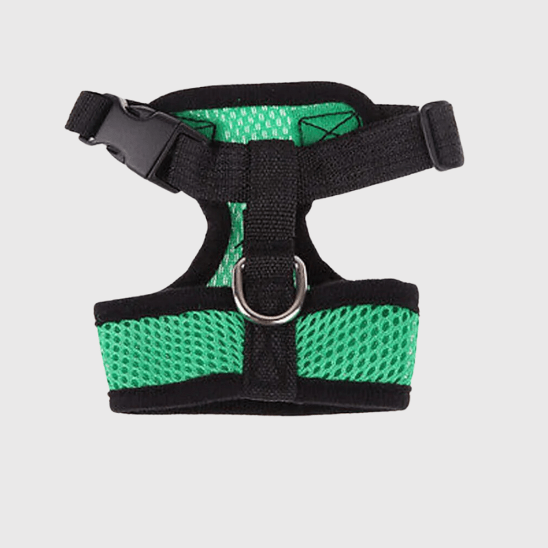Harnais sport chien vert