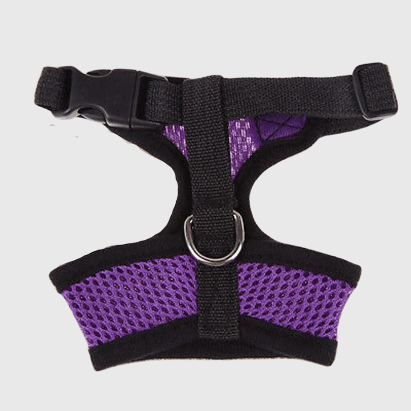 Harnais sport chien violet