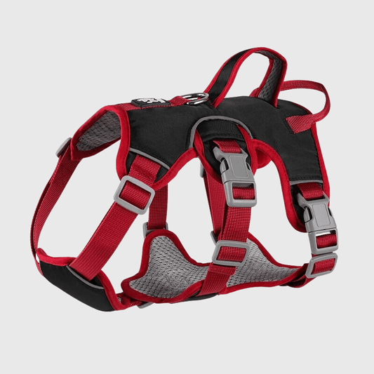 Harnais triple sangle chien noir