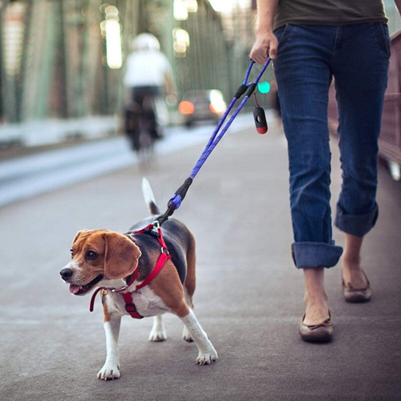 Double laisse pour deux chiens chien et humains