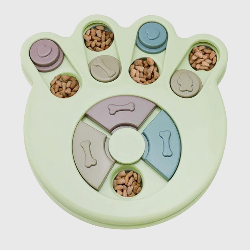 Jeu de reflexion forme de patte pour chien vert