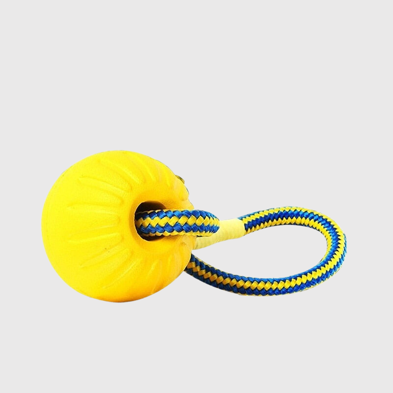 Jouet balle en caoutchouc avec corde pour chien couleur jaune corde bleu