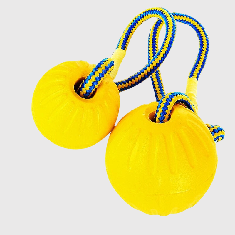 Jouet balle en caoutchouc avec corde pour chien double balles jaunes