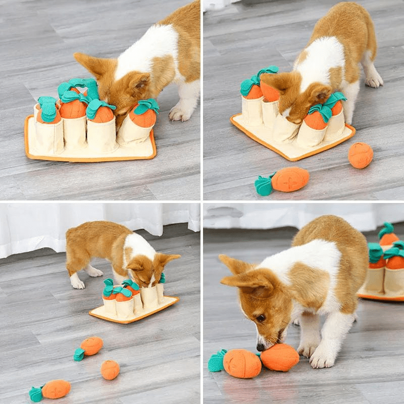 Jouet educatif pour chien chiot