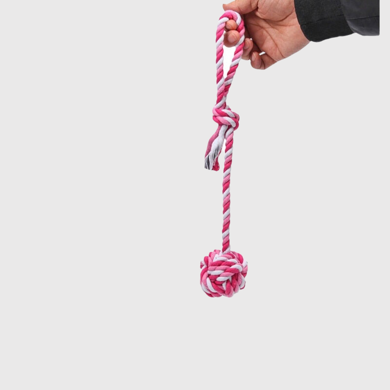 Jouet en corde long pour chien rose et blanc