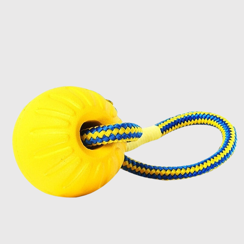 Jouet pour chien balle avec corde jaune avec la corde bleu et jaune