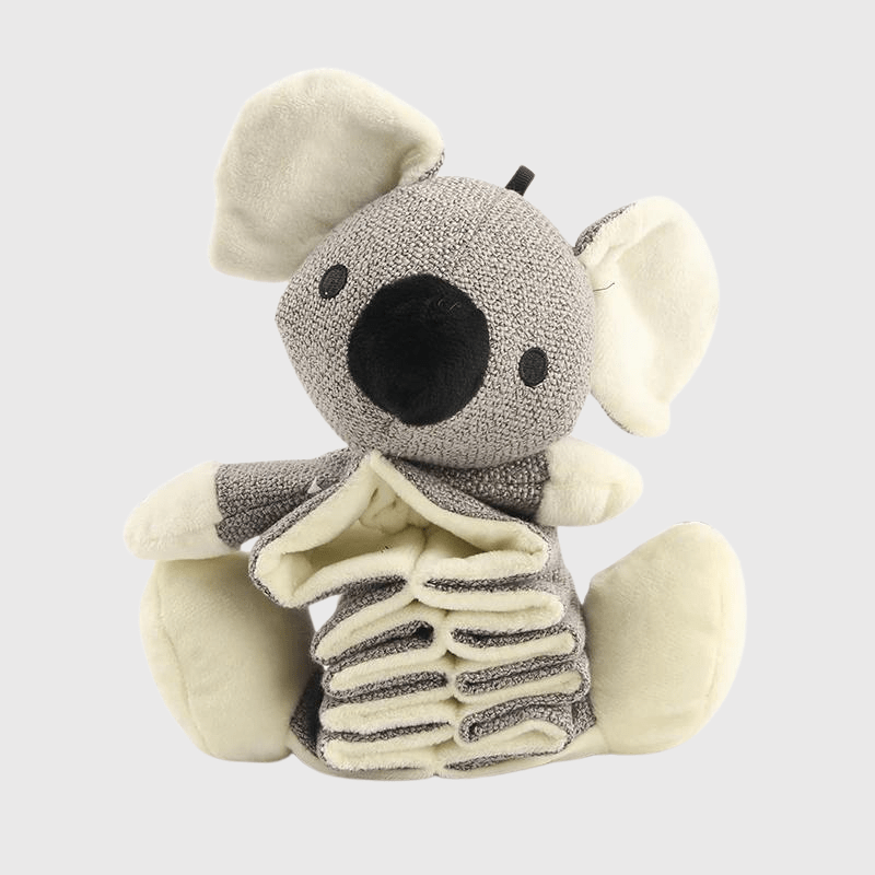 Jouet pour chien qui s'ennuie koala