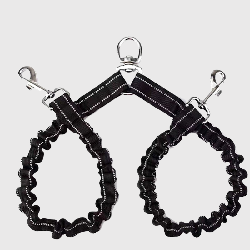 Laisse Double pour chien avec zero enchevetrement accroche grise