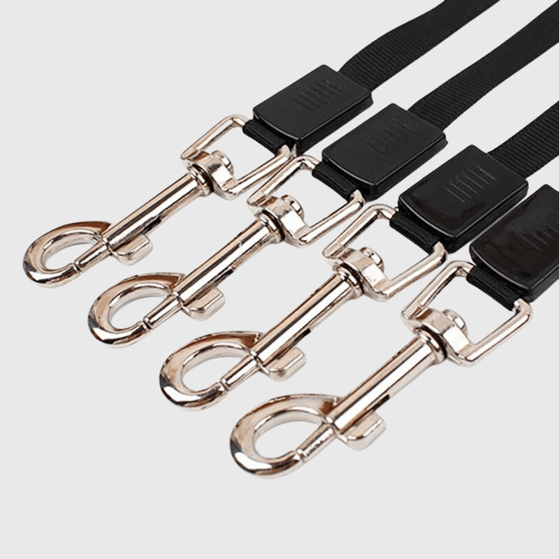 Laisse chien enrouleur solide accroche