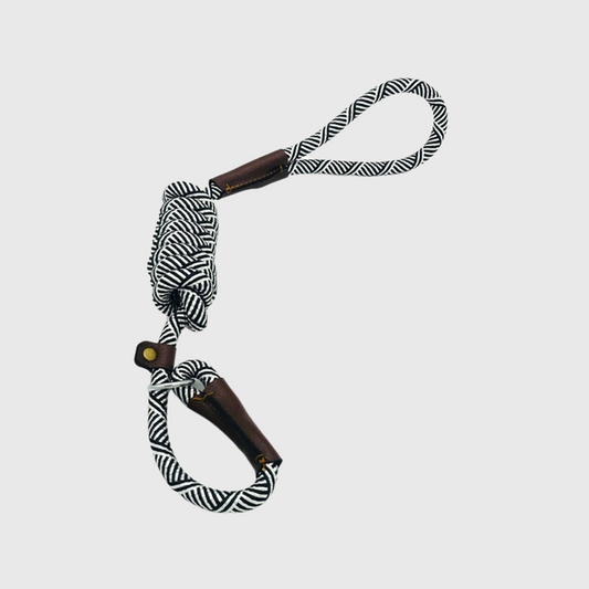 Laisse corde pour chien