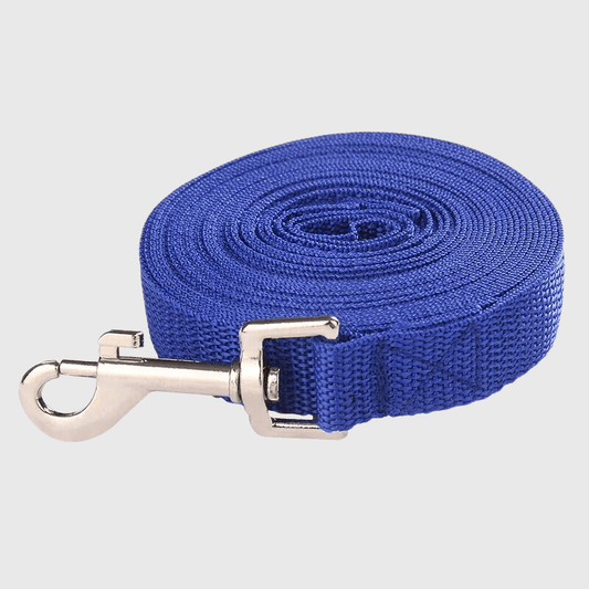 Laisse courte pour chien