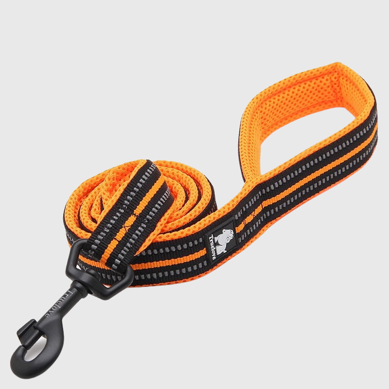 Laisse d'éducation pour chien orange et noire
