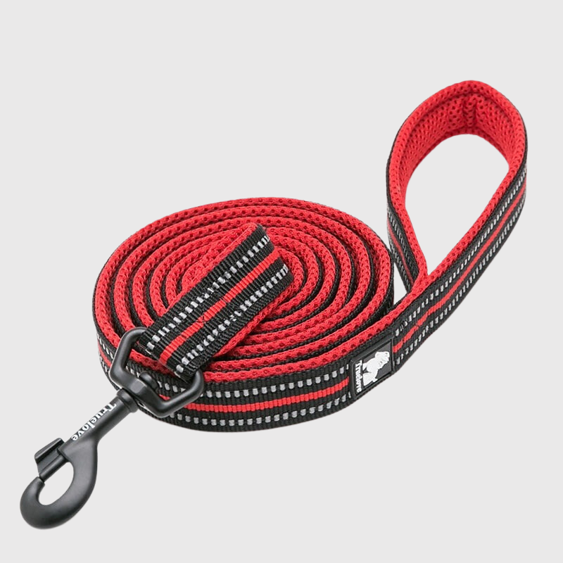 Laisse d'éducation pour chien rouge et noire