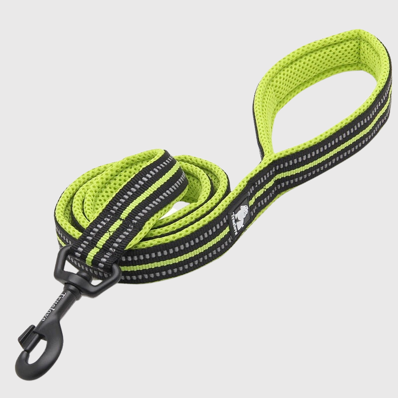 Laisse d'éducation pour chien verte et noire