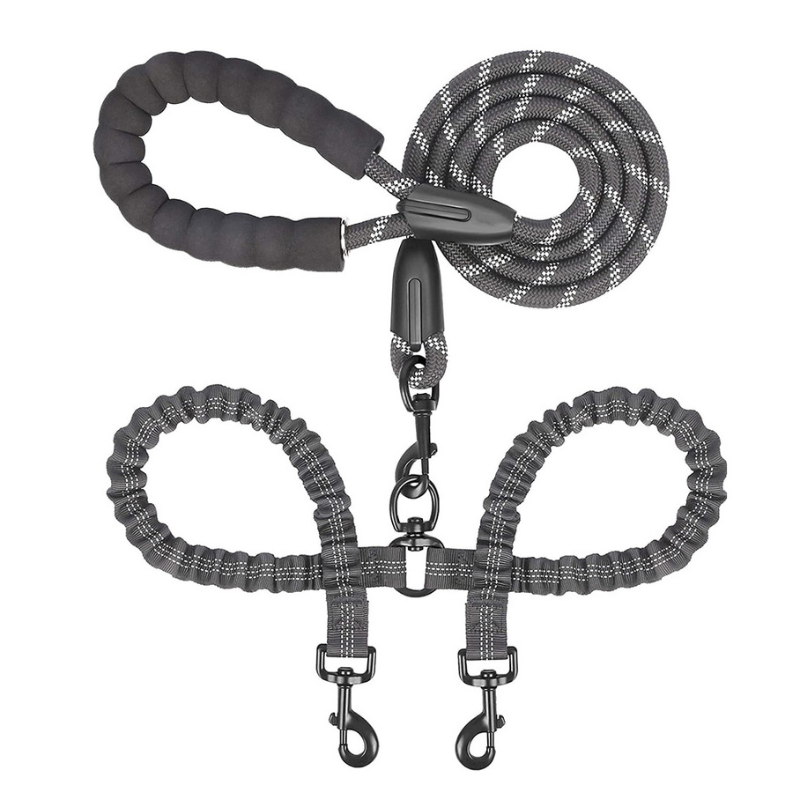 Laisse double pour chien