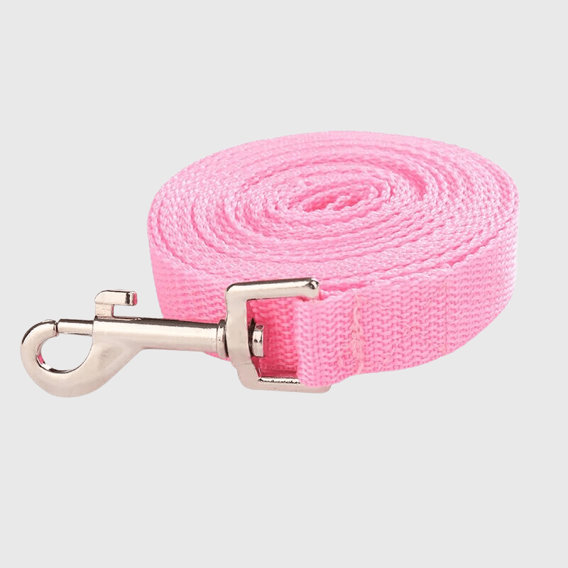 Laisse en nylon pour chien