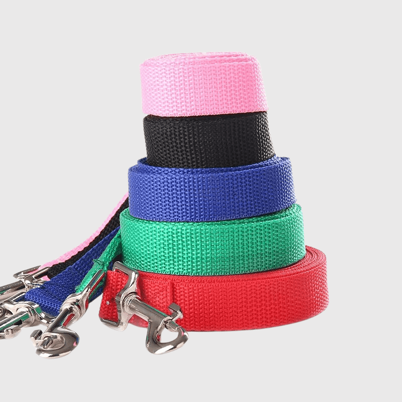 Laisse en nylon pour chien enrouler