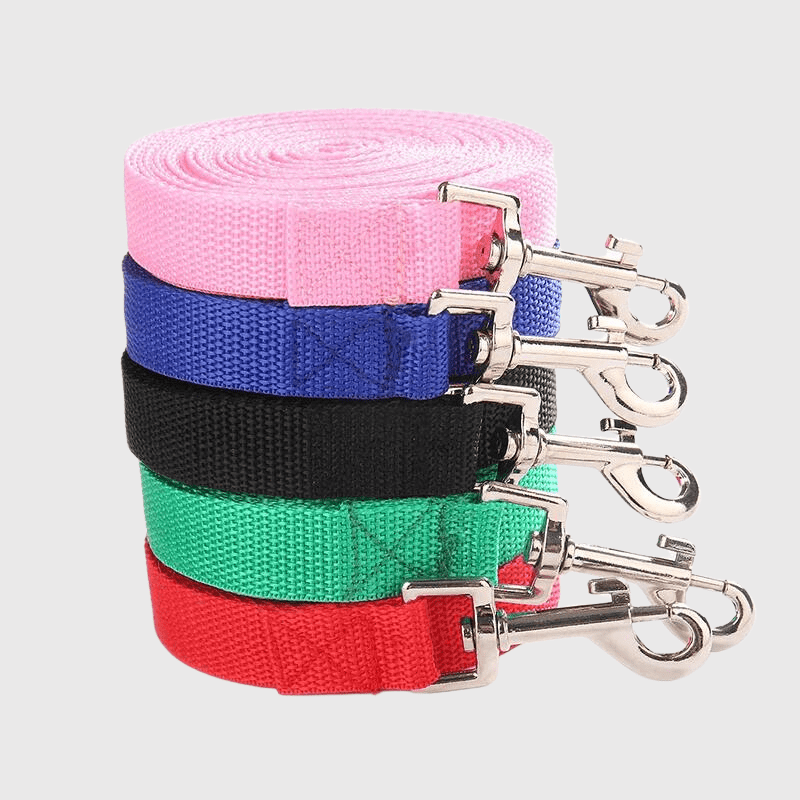 Laisse en nylon pour chien mousqueton