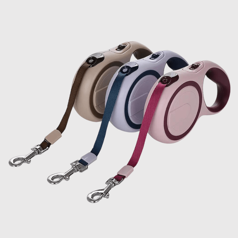 Laisse enrouleur pour chien