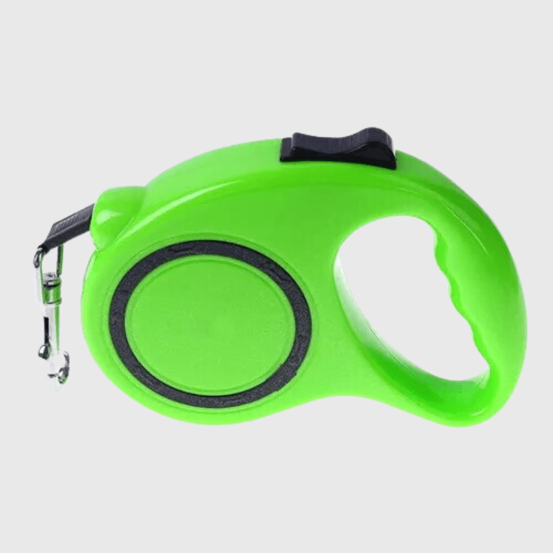 Laisse enrouleur pour petit chien vert