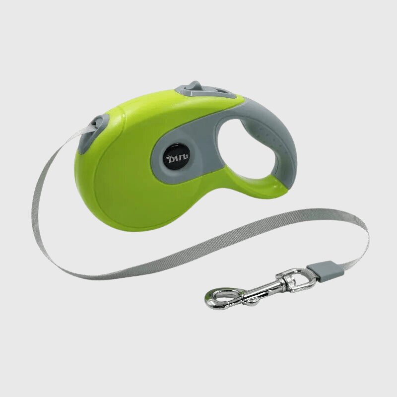 Laisse enrouleur vert pour chien