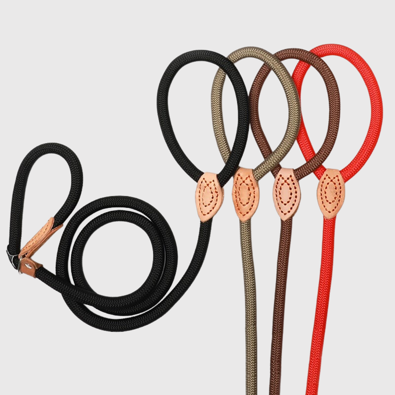 Laisse lasso pour chien 4 couleurs