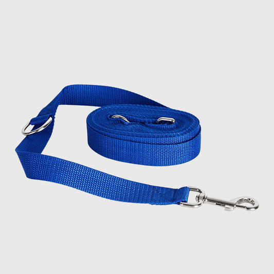 Laisse longe pour chien bleu