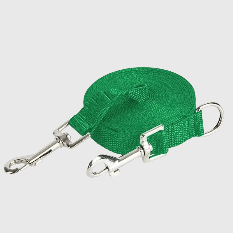 Laisse longe pour chien vert