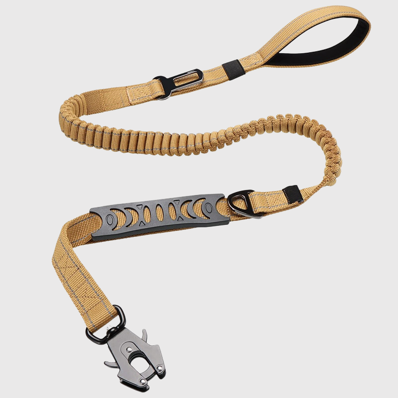 Laisse pour chien elastique kaki