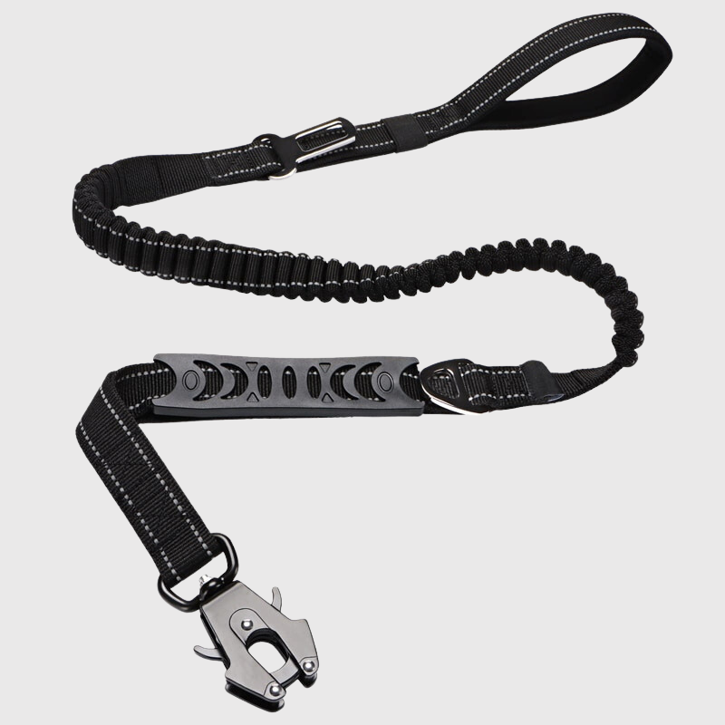 Laisse pour chien elastique noir