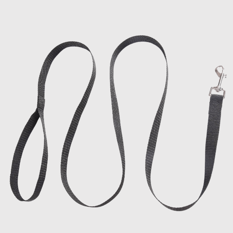 Laisse pour chien nylon detendu