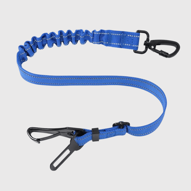 Laisse pour voiture pour chien bleu
