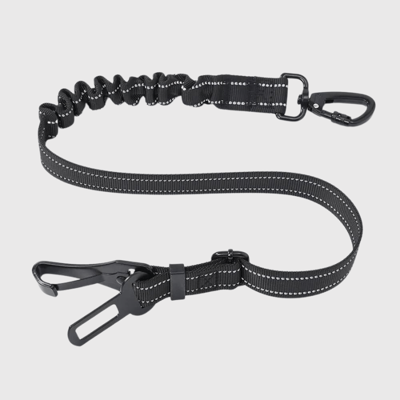 Laisse pour voiture pour chien noir