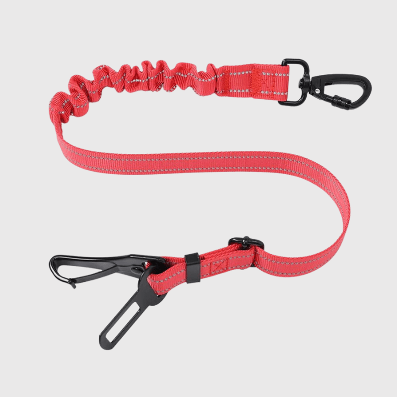 Laisse pour voiture pour chien rouge