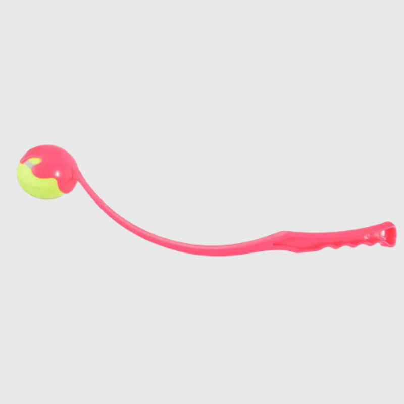 Lanceur de balle pour chien Rose