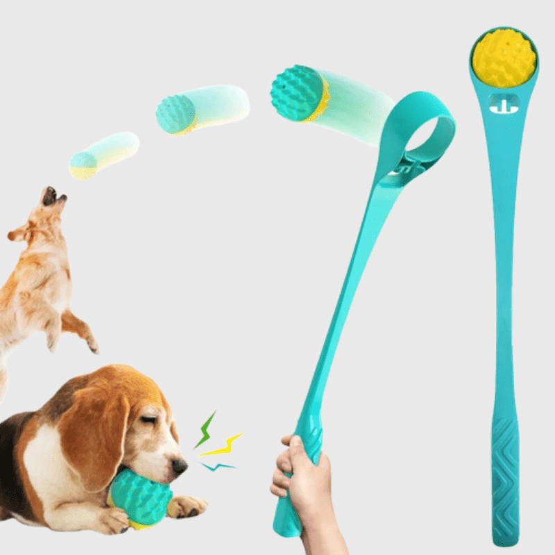 Lanceur de balle pour chien bleu ciel demo avec un chien